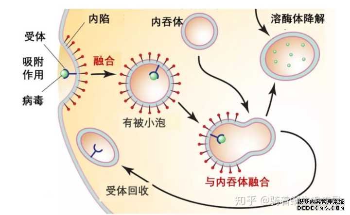 太阳成集团tyc33455cc